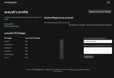 Admin panel to control user privileges